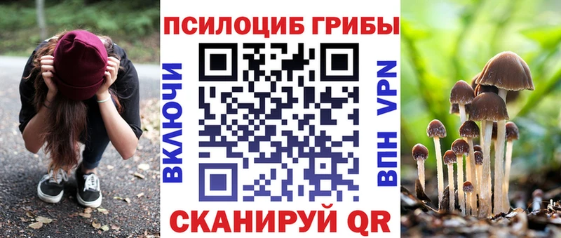 ОМГ ОМГ рабочий сайт  Нея  Псилоцибиновые грибы Psilocybe 